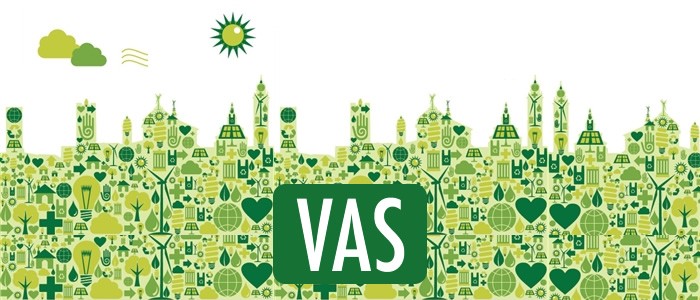 varianti-prg-valutazione-ambientale-strategica-lorientamento-corte-costituzionale