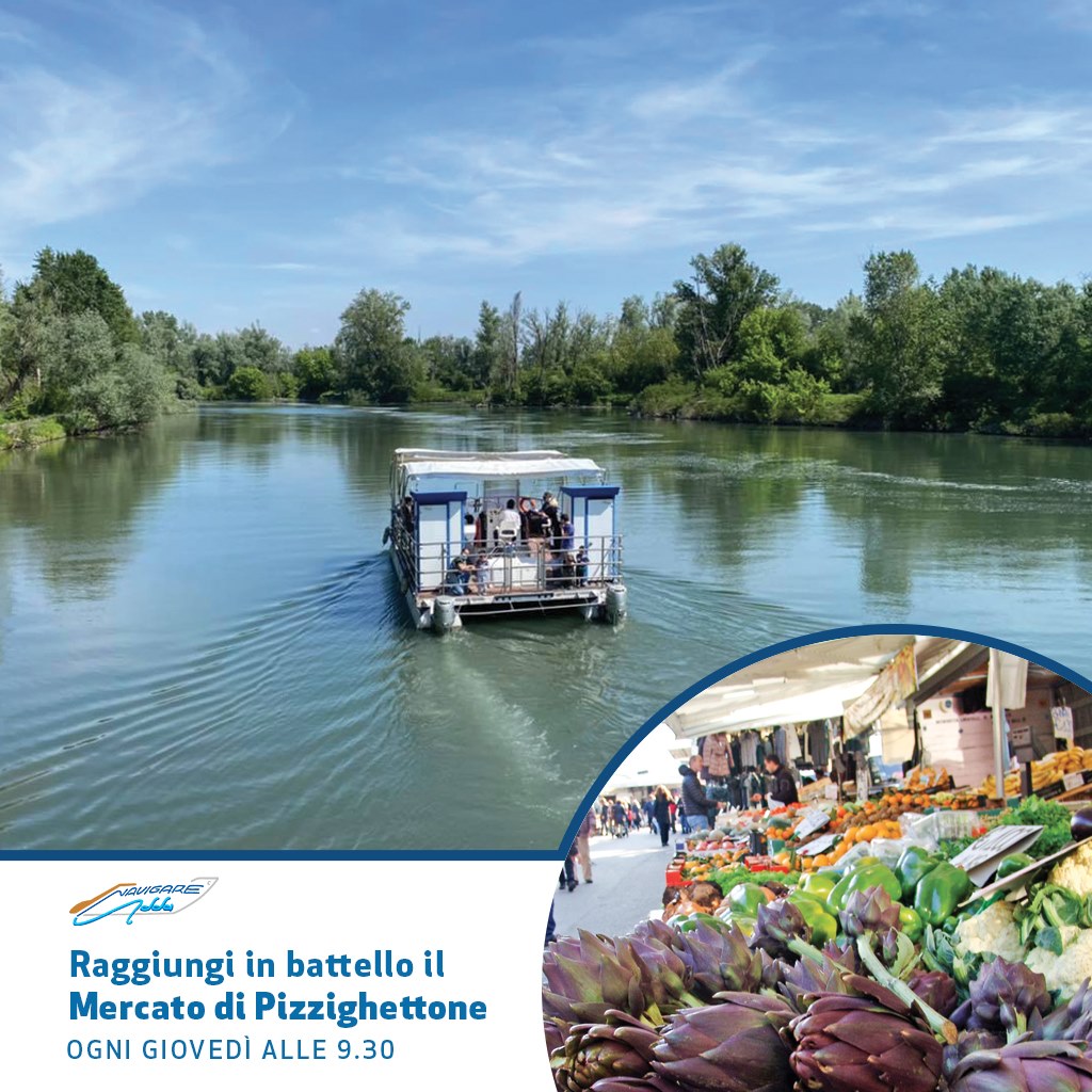 190766725_4374064765946262_8654748611295434758_n